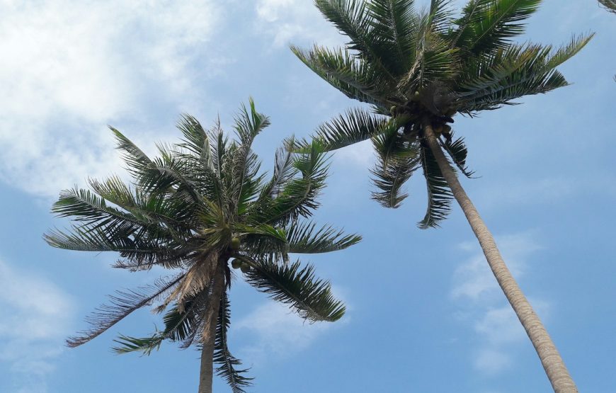 หาดฝั่งแดง บางสะพานน้อย