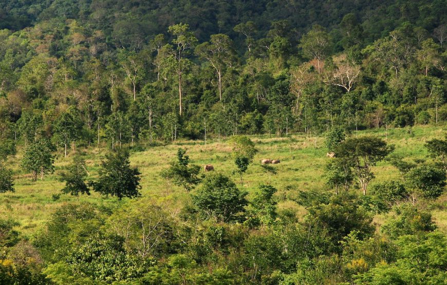 อุทยานแห่งชาติกุยบุรี